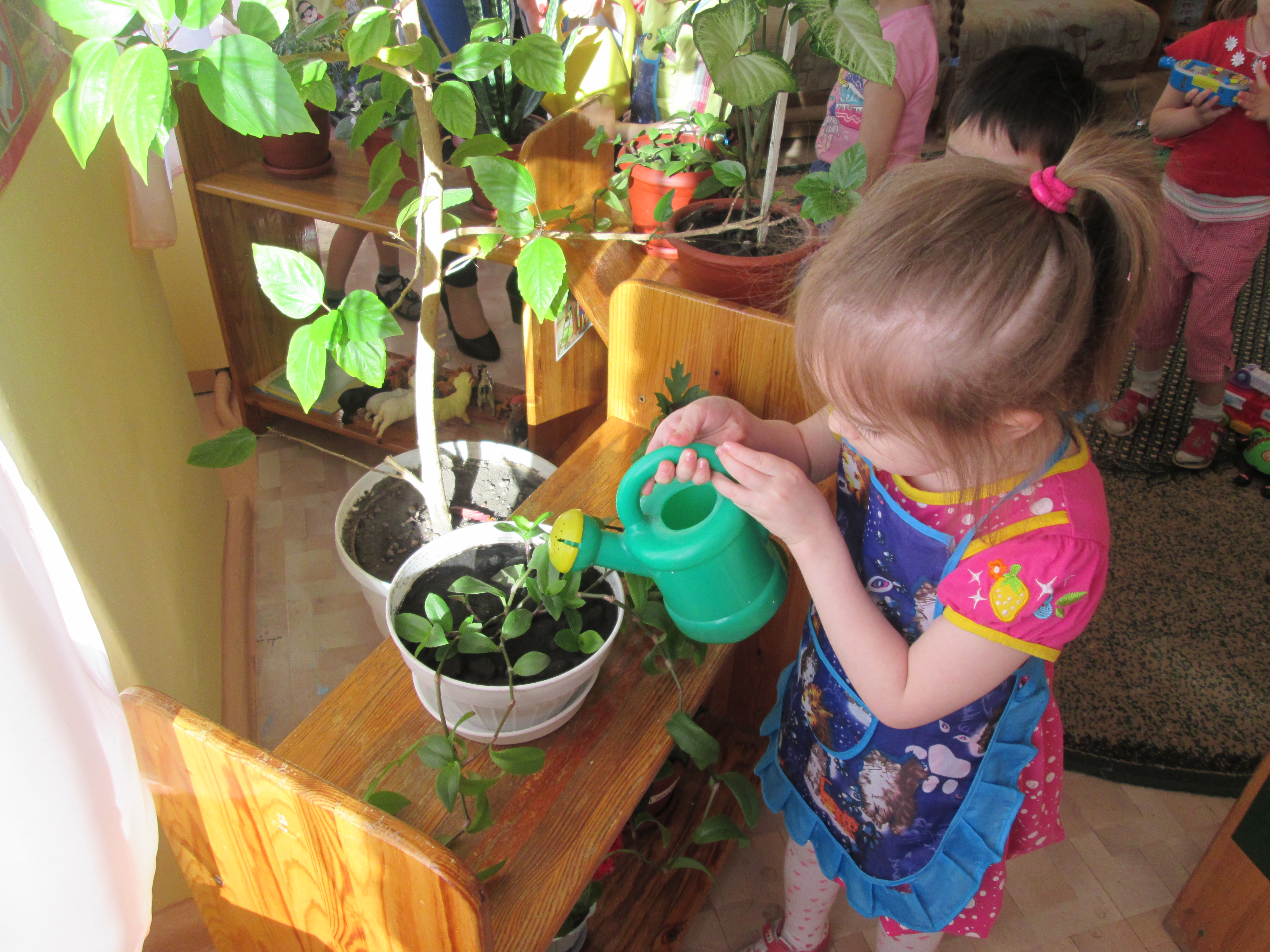 Труд в уголке природы картинки Труд в уголке природы картинки